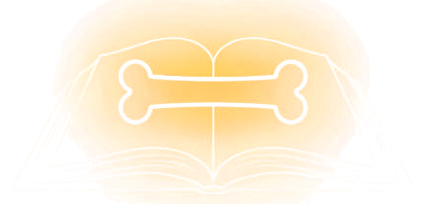 IncideX icon