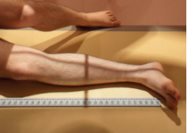 Incidence de profil — Modestitching